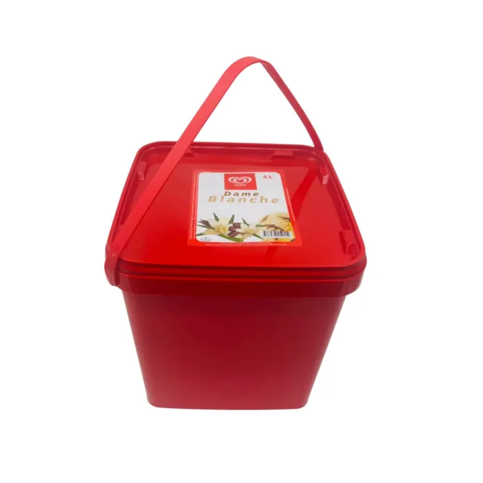 Glace Miko Dame Blanche 5L