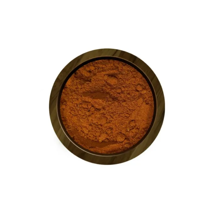 Chorizo épice extra paquet 1 KG