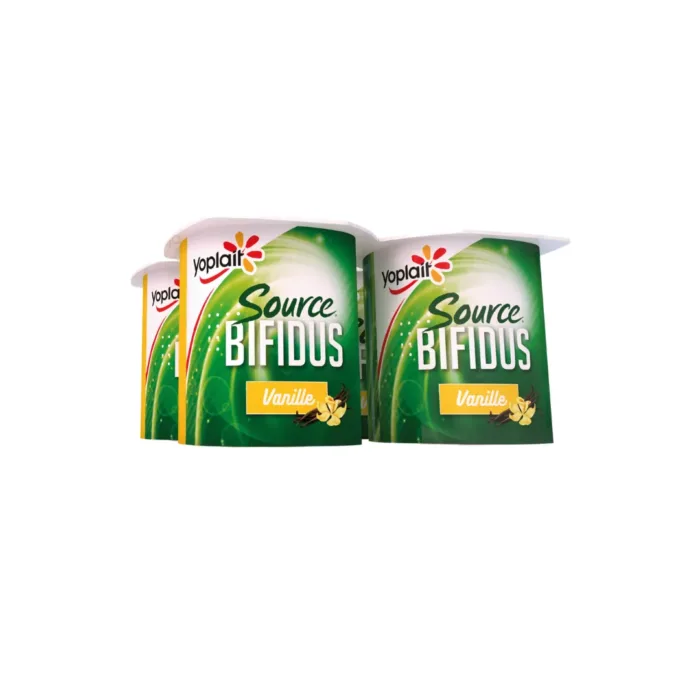 Yaourt Source vanille Yoplait 4X125G